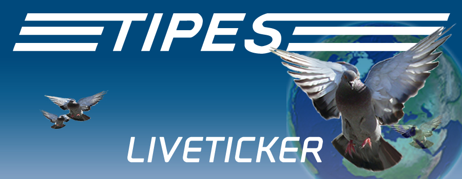 TIPES LIVETICKER